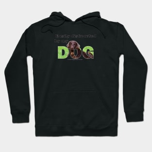 Easily distracted by my dog - flatcoat oil painting word art Hoodie